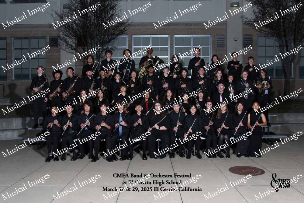 Musical Images